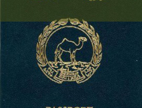 湛江移民中介公司：从“海鲜之都”到“全球通行证”的捷径