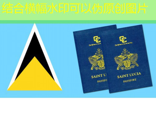 佛山护照移民中介机构：如何挑对“引路人”，把全球身份一次办到位？