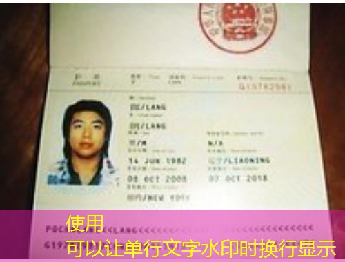 “小国”大跳板：葡萄牙移民中介如何帮你把预算花在刀刃上