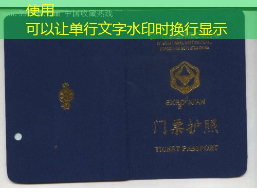 亳州移民中介：从药材之都到世界公民的“摆渡人”