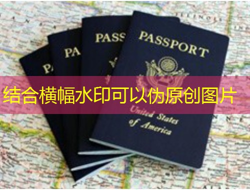 呼和浩特移民服务中介：草原都市里的全球通行证