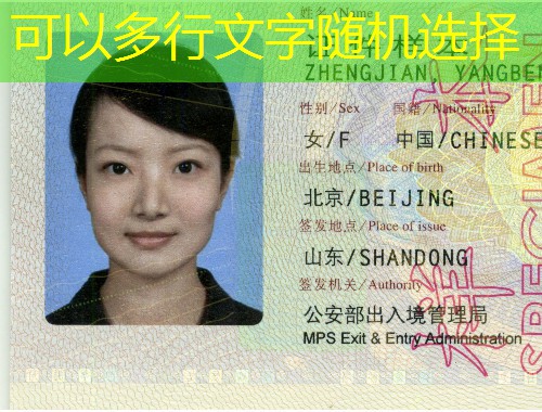 北京哪家移民中介靠谱？三步筛出“真把式”