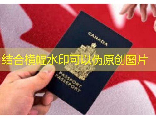 从“观望”到“落地”：移民墨西哥中介如何帮你一步到位