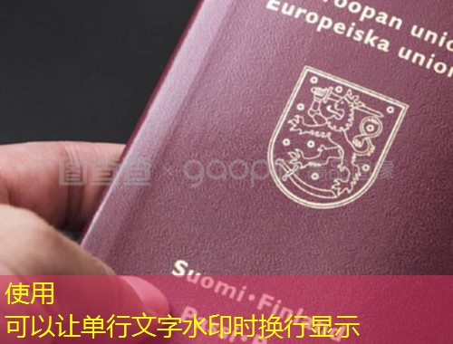 从上海到布达佩斯：匈牙利移民中介如何帮你“一步到位”拿永居？