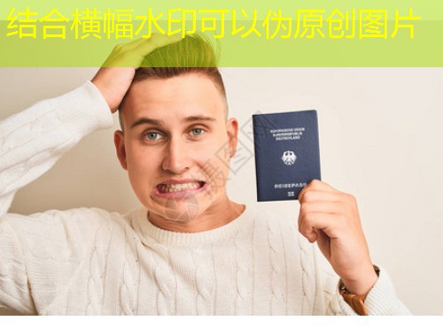 从伊斯坦布尔到伦敦：土耳其中介移民机构如何成为“跳板”新宠？