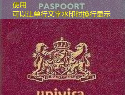 斯洛文尼亚护照移民公司：三步解锁欧盟“隐形冠军”身份