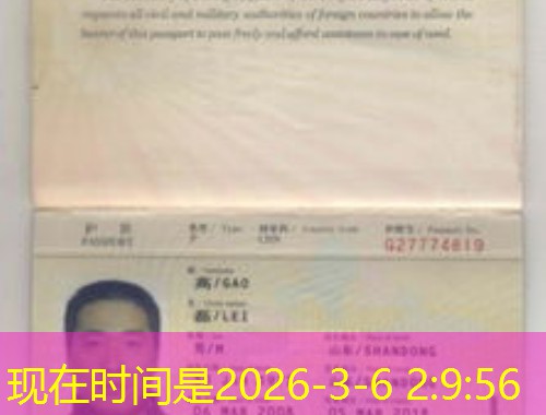 马来西亚哪有移民中介？三步锁定靠谱顾问，少走90%弯路