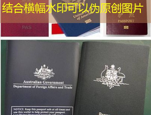 从外滩到莱茵河畔：上海家庭零失误移民德国全攻略