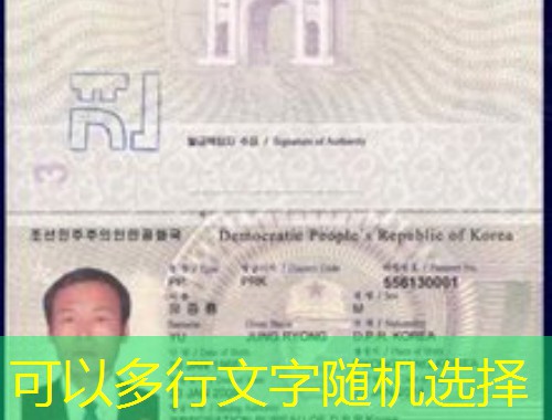 武汉快速移民中介公司：30天拿到枫叶卡，他们究竟做对了什么？