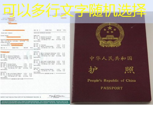 找移民中介哪个靠谱？三步筛掉“坑”，锁定真行家