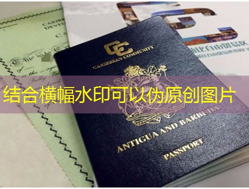 厦门办理移民中介：如何挑到靠谱“引路人”？