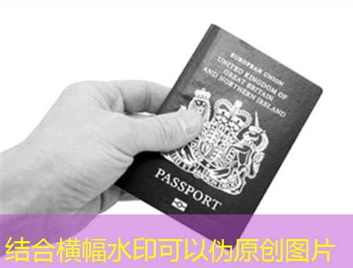 从上海到翡翠岛：一份零踩坑的爱尔兰移民中介甄选笔记