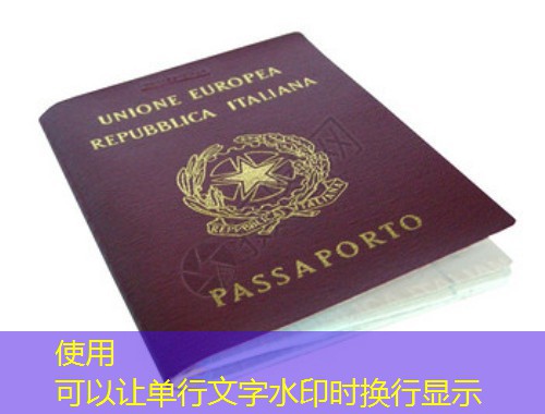 从鲁迅故里到多瑙河畔：绍兴人为何把匈牙利移民中介的地址当成新“通行证”？