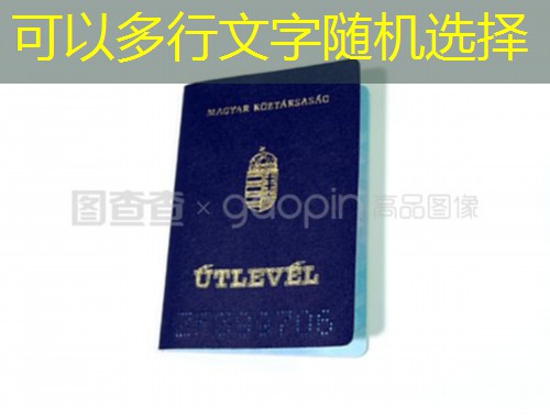 石家庄移民中介公司：如何挑选靠谱伙伴，让出国之路少走弯路
