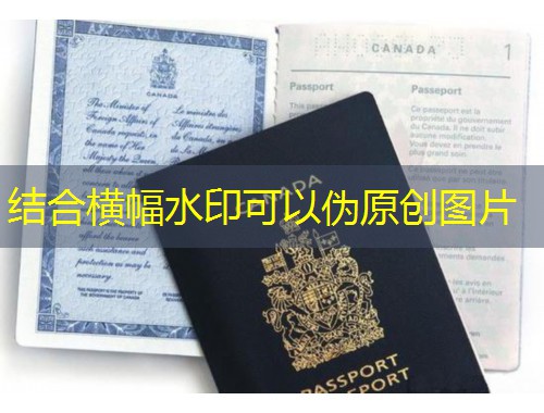 昆明移民中介哪有？三步锁定靠谱机构，少踩90%的坑