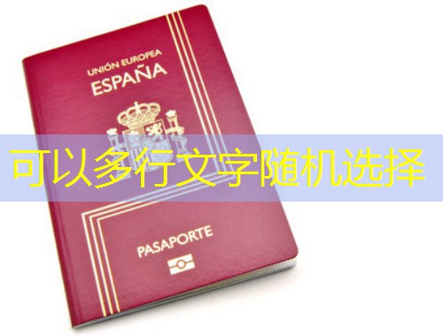 从金华出发，为何越来越多人把德国当成“第二故乡”？