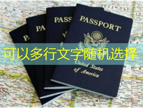 斯洛伐克移民中介名字背后的门道：如何一眼锁定靠谱机构