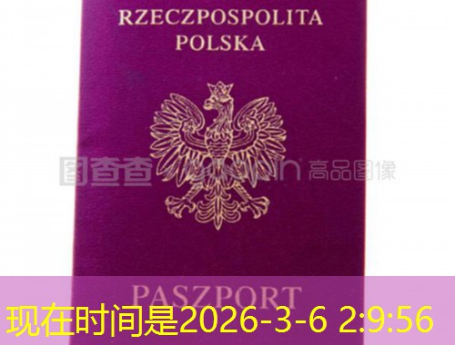 规模大移民中介公司：为什么“大”才是你出国的安全垫？