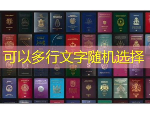 从三里屯到内罗毕：北京移民非洲中介的“隐藏菜单”