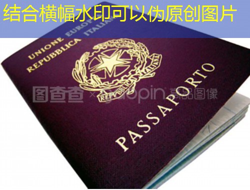 从鼓浪屿到枫叶国：厦门移民服务中介如何帮你把“文艺”变成“身份”