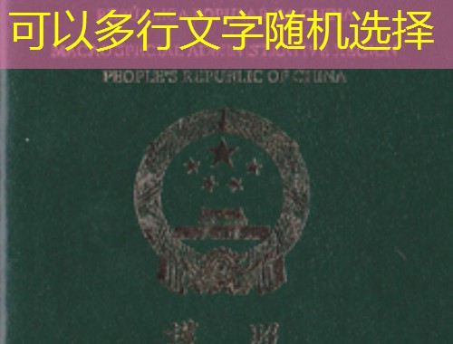 香港正规移民中介公司：三步锁定靠谱伙伴，避开“黑中介”陷阱