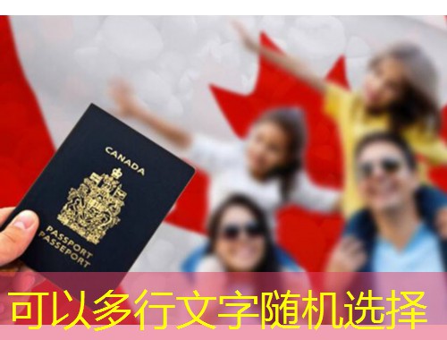 从松花江畔到莱茵河边：哈尔滨人为何悄悄盯上德国移民？