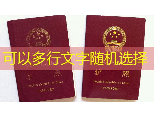 土耳其移民靠谱中介：三步锁定你的“零踩坑”通道