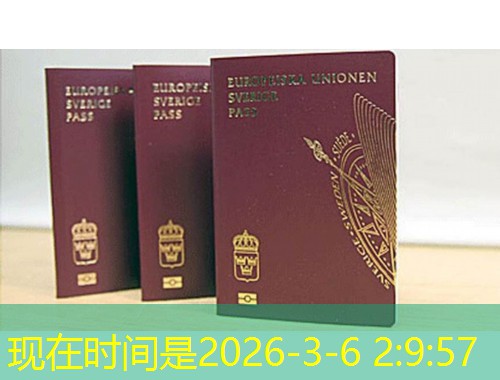 从“中原腹地”到“全球通行证”：郑州移民中介公司如何帮你把户口迁到世界另一端？