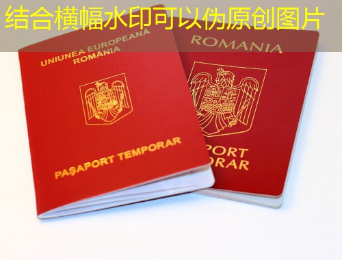 “境外移民中介公司”怎么选？三步筛掉90%的坑