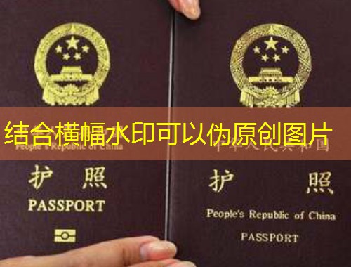 职业移民咨询服务：从“北漂”到“全球职涯”的跳板