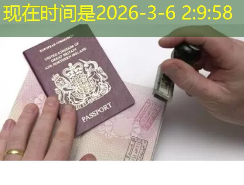 广州职业移民中介：如何挑到真正懂行的“引路人”？