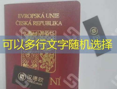 费城移民中介公司：如何挑到“懂你”的那一家？