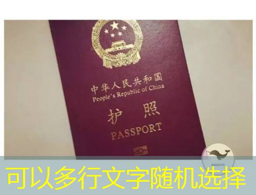 雪域高原到枫叶之国：西藏移民中介机构如何帮你把"不可能"变"可行"