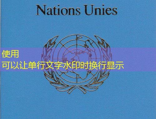 土耳其移民专业中介：一步到位拿护照的“隐形推手”