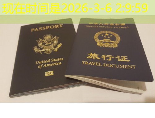 义乌商人全球布局：如何挑对移民中介机构不走弯路