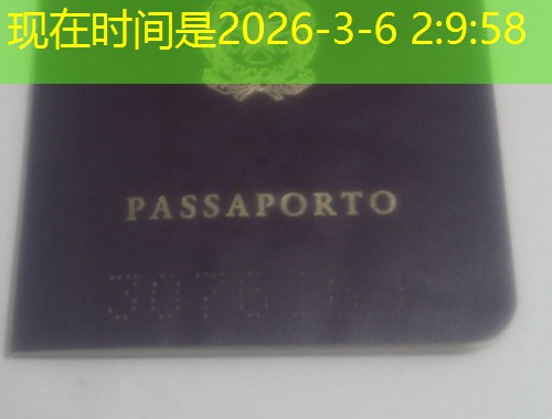 从彩虹之国到全球：南非外侨移民中介如何帮你“无缝着陆”