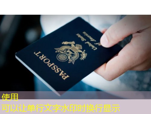 从羊城到世界：广州移民国外中介公司如何帮你“丝滑”登陆