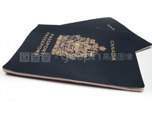 郑州移民办理中介：如何在中原腹地找到靠谱的“出国摆渡人”