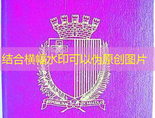 泰国移民中介机构有哪些？——三步锁定靠谱伙伴，避开“微笑之国”暗礁