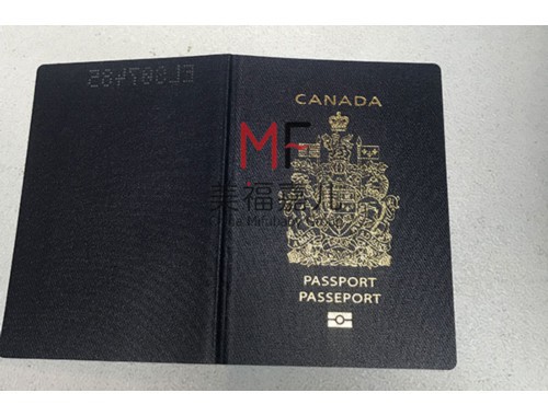 南京四大移民中介公司：谁在悄悄改写你的“第二人生”？