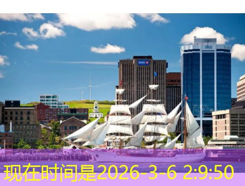 聊城移民中介：从鲁西小城到全球生活的“隐形桥梁”