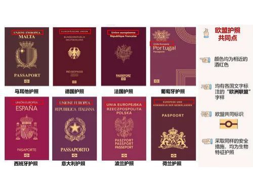 从“踩坑”到“上岸”：中介移民公司到底该怎么选？