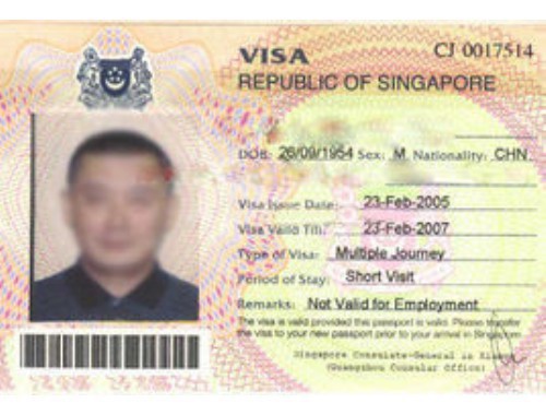 沧州移民中介：在狮城与枫叶国之间，如何挑一条不踩坑的捷径？