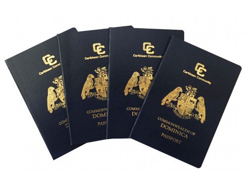 从“世界工厂”到全球家园：东莞移民中介公司如何帮你一步到位？