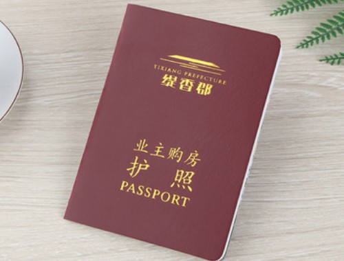 从石家庄出发，全球安家：选对移民公司中介的隐形杠杆