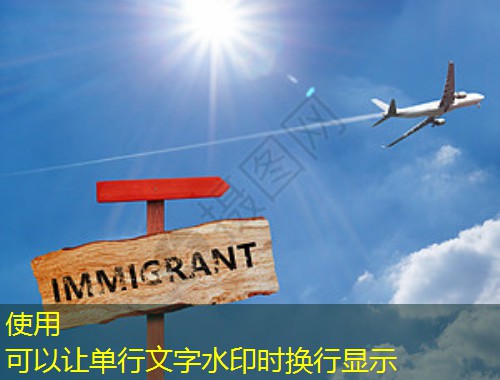 墨西哥城移民中介：在高原首都找到靠谱引路人