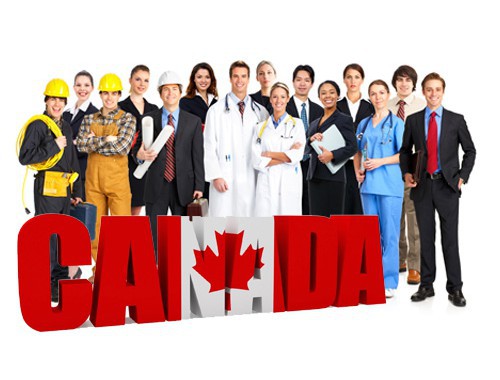 廊坊移民中介公司：解锁全球身份的黄金钥匙