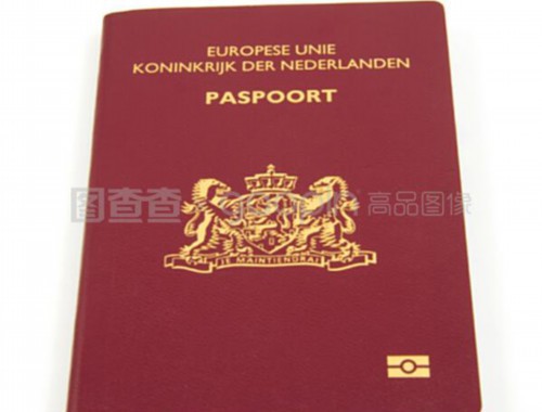 办理移民有中介：避开“甜蜜陷阱”的实战指南