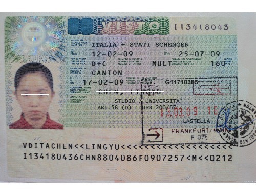 法国移民护照办理：从居留到入籍的完整路线图