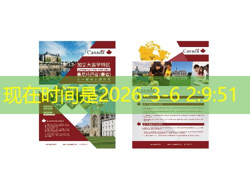 潍坊移民中介公司：从“风筝之都”飞向世界的靠谱跳板